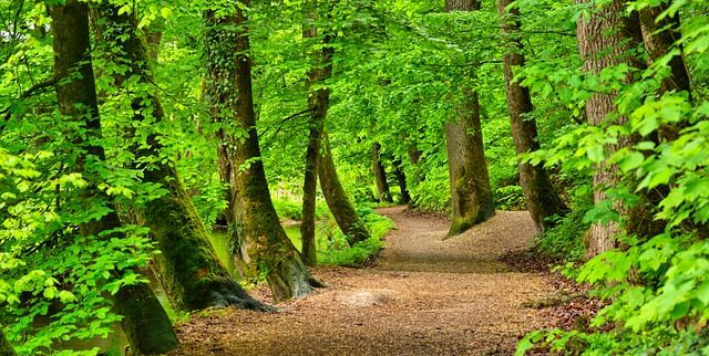 Bonn: Treffen der Regionalgruppe Bonn und Umgebung