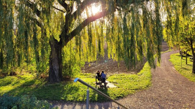 simonebild_zugeschnitten