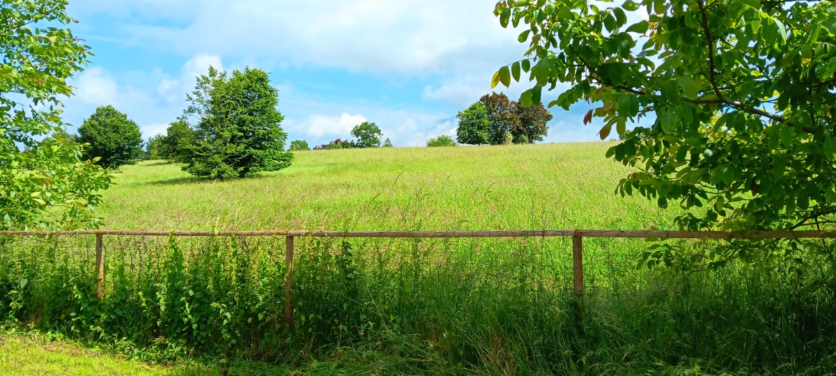 Treffen Regionalgruppe Bonn